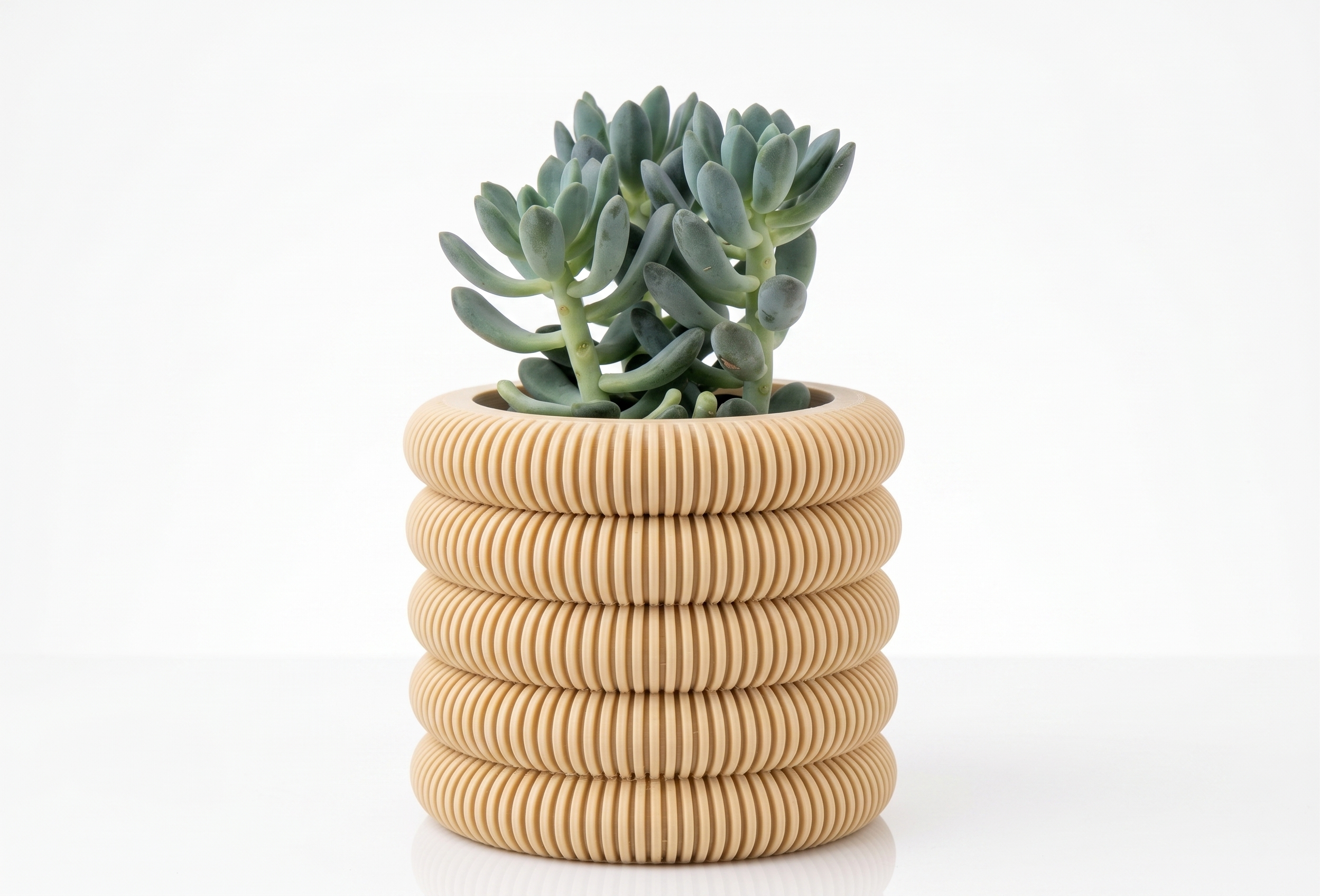 Coins Planter with Hidden Drip Tray